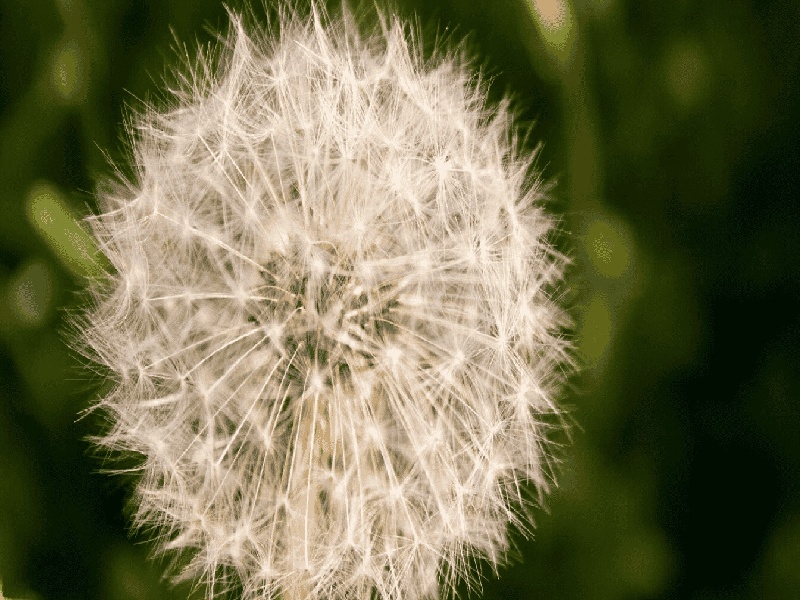做试管穿刺手术(不要完全依赖试管)