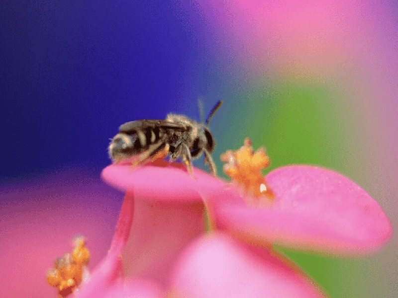 试管移植的感想(地摊卖试管香水)